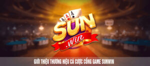 giới thiệu cổng game sunwin