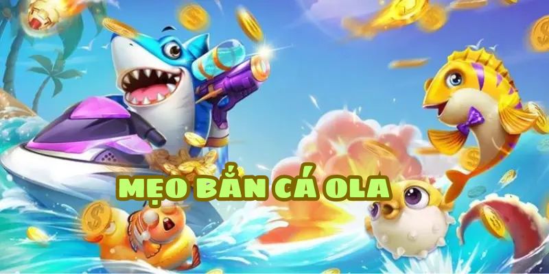 Cược thủ nên chơi game cá cược này